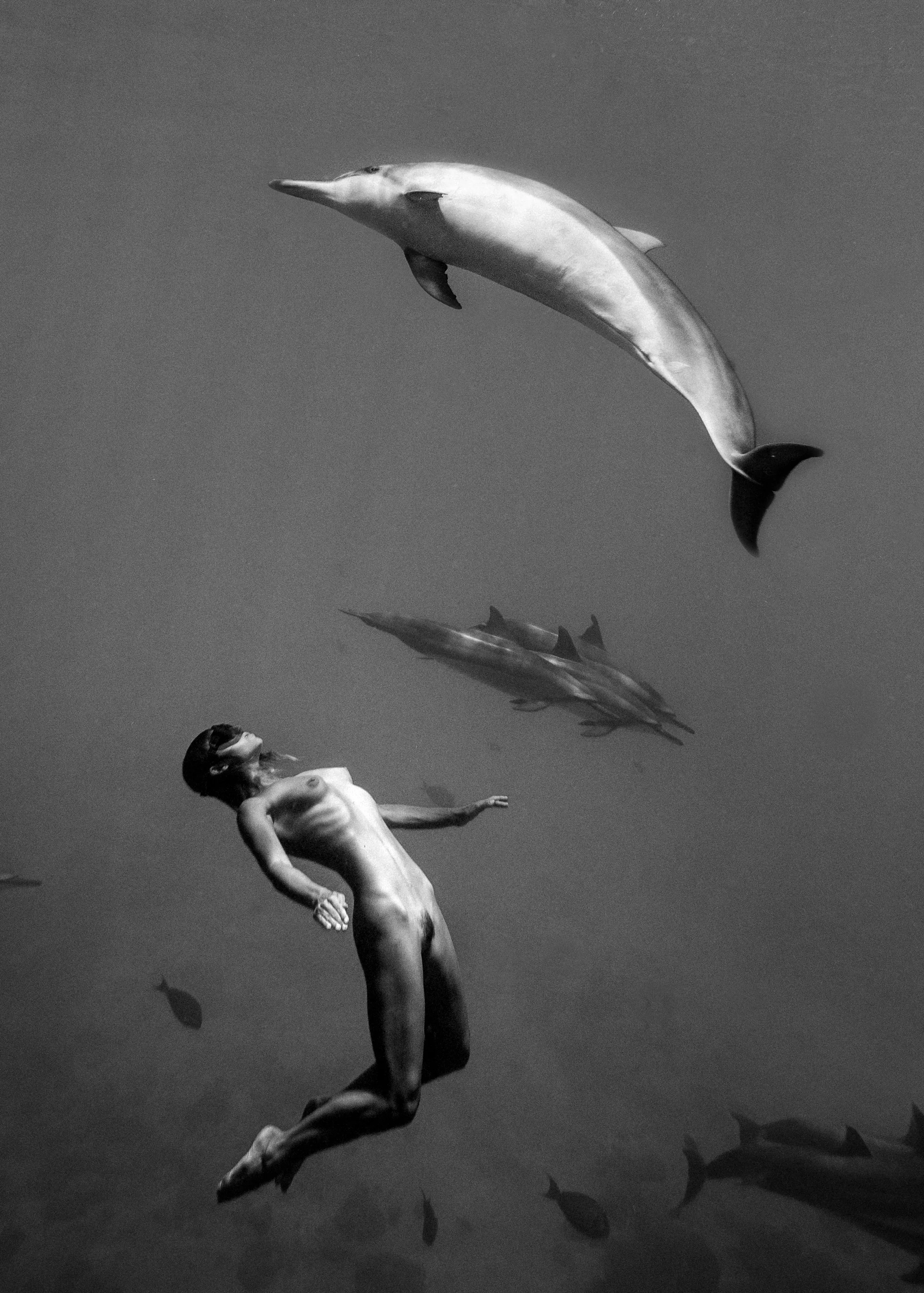 Marisa Papen - Swimming with Dolphins