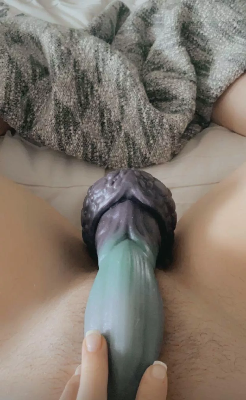 Me and ol’ Nox here having some morning fun!