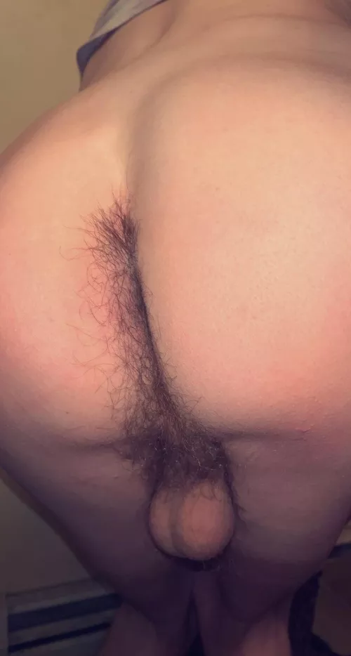 Someone come cuddle this?🥺