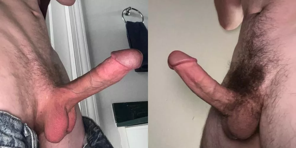 Which cock would you rather , left or right? Which cock would you rather , left or right?
