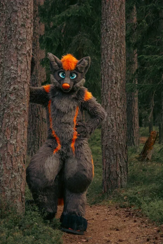 Wild Wolf [Photo by: Kawi]