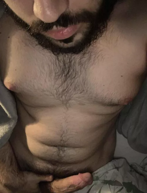 21 m hairy musky bwc guy looking for anything open and no limits. Face pls. Add ajax21152