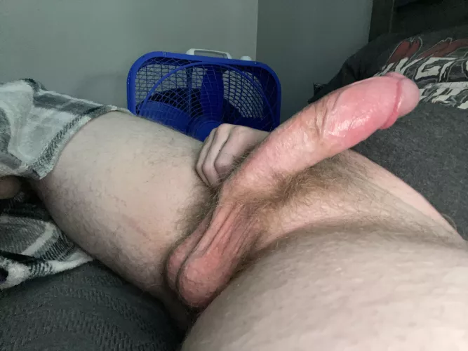 Anyone wanna protein snack?