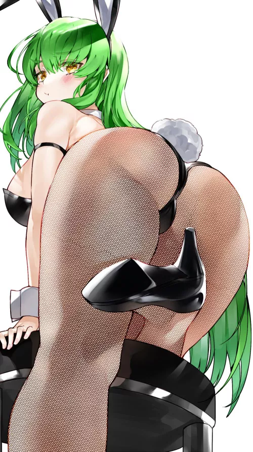 Bunny C.C. [Code Geass]