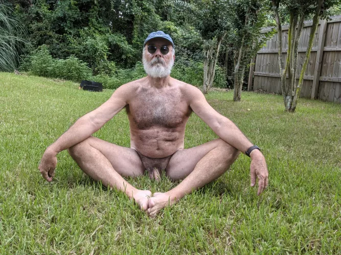 Cobbler in the grass