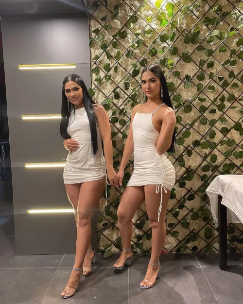 Gonzalez Twins