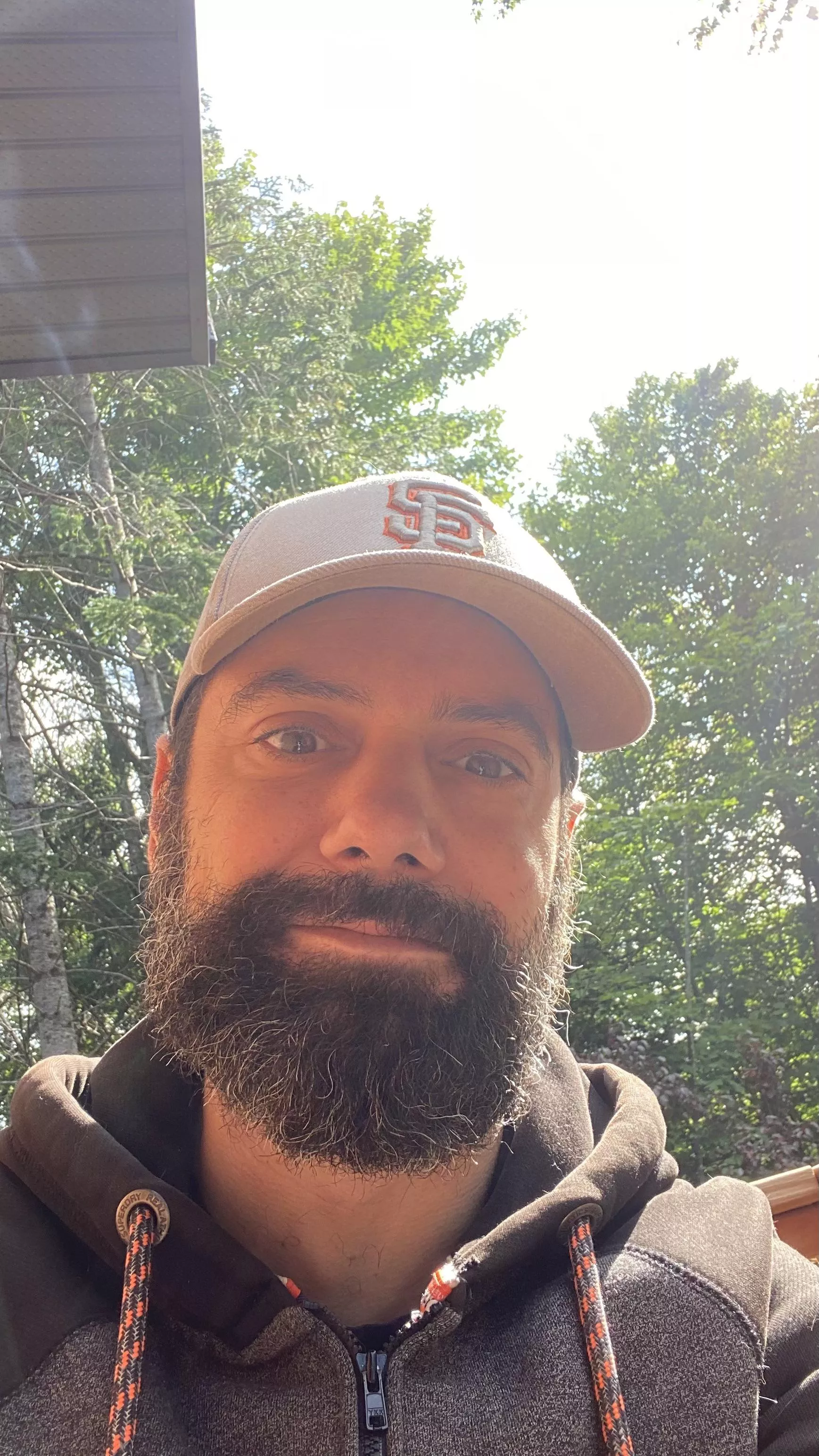 Good morning everyone