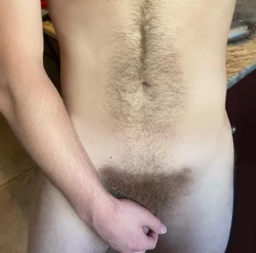 I hope you like my bush