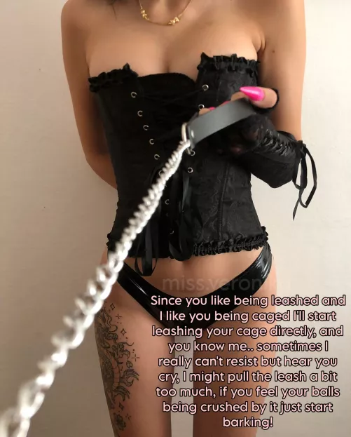 Leashed cage is a good idea don't you think?