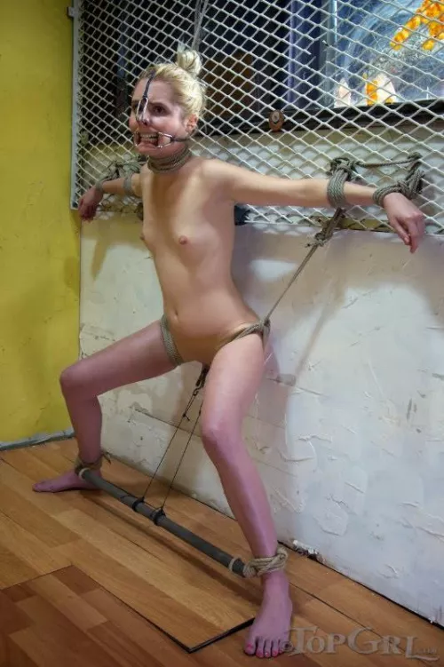 Retractor gag and nosehook