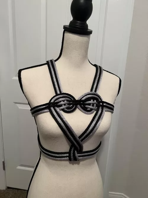 Same harness as last time, different colors.