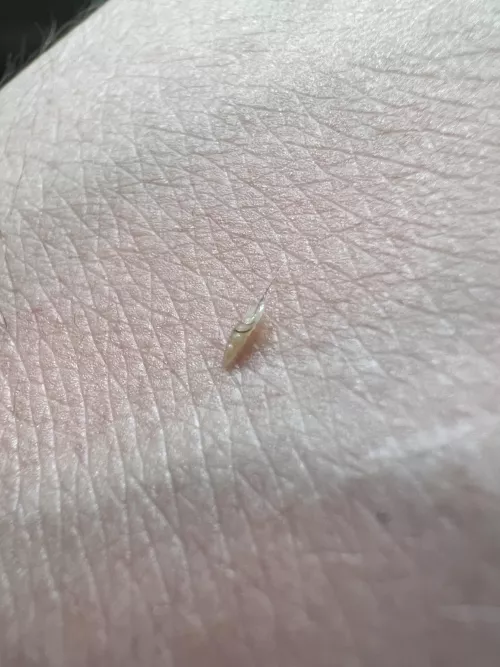 Sorry no video, but this fella was buried on my stomach