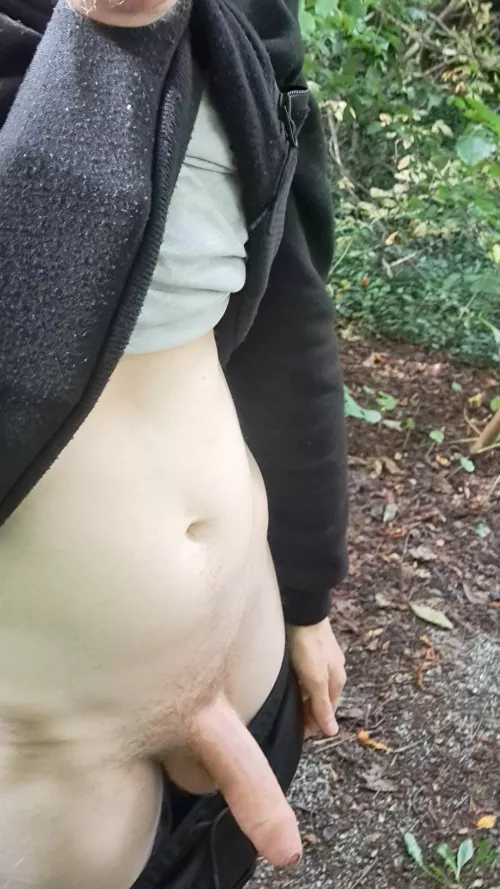 Thought I'd let my pet snake out in the park