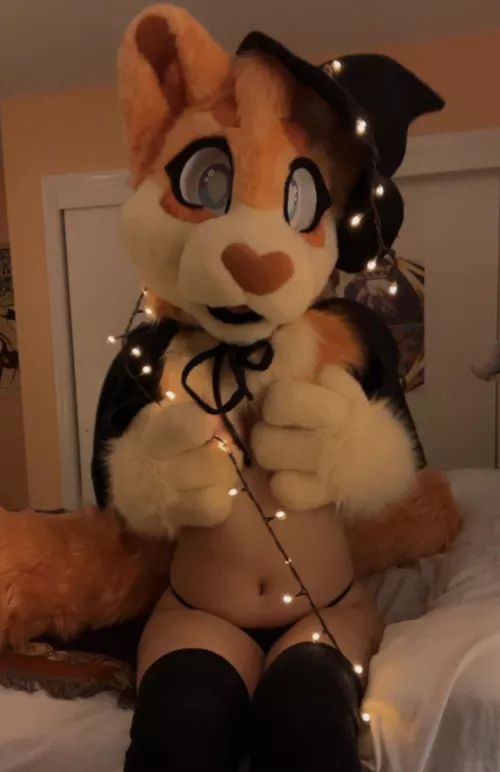 Witchy skitty! So pumped for fall >:3