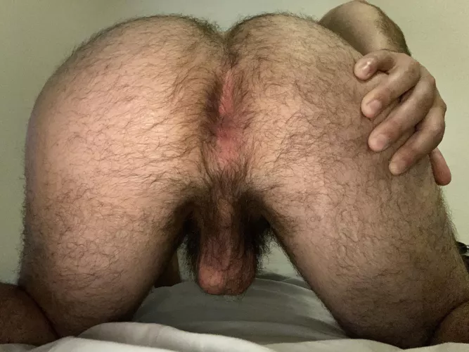 (27) Hairy and pink, and ready to be slid into (dms welcome)