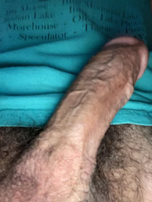 (63)and veiny hard. DM’s always open…