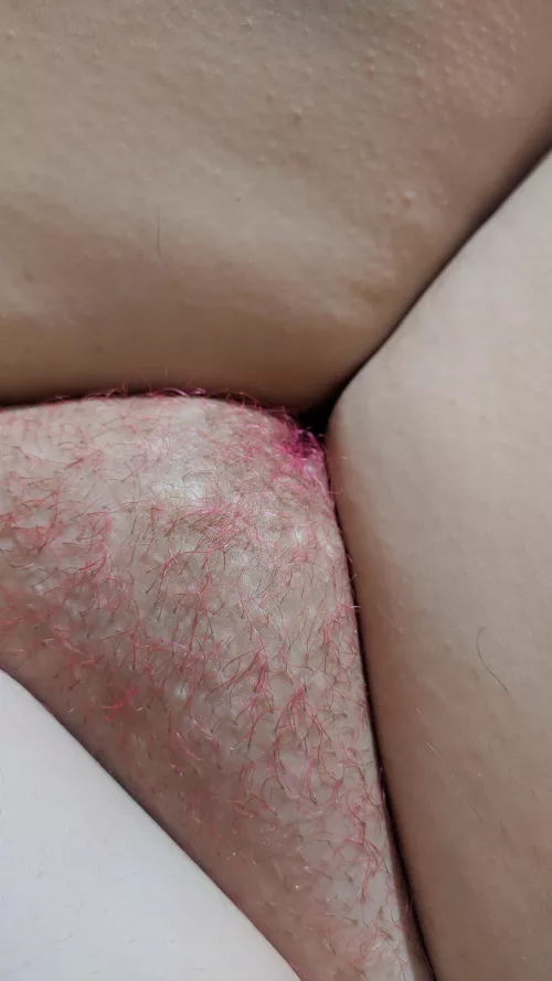 Can't wait to turn it a pink forest