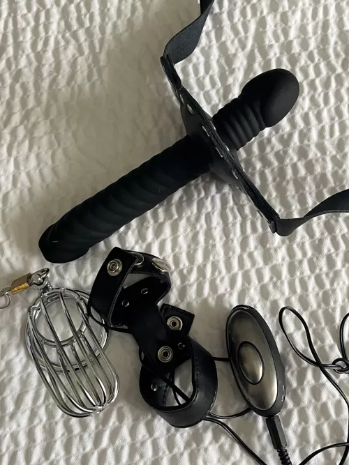 Got a bigger steel cage for my slave’s cock. But it’s because I want to strap and electric cock harness on before he goes in the cage and pleasures me with the dildo gag as volts run through his hard caged worm!