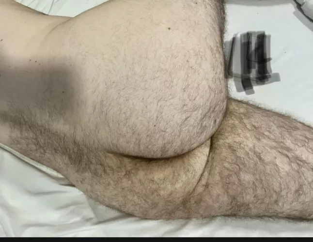 Hairy or shaved ass ?