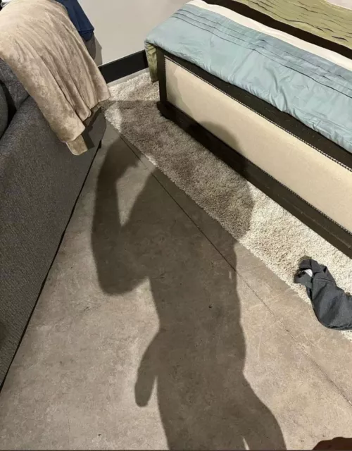 He's a little shy but he still wanted to say hi