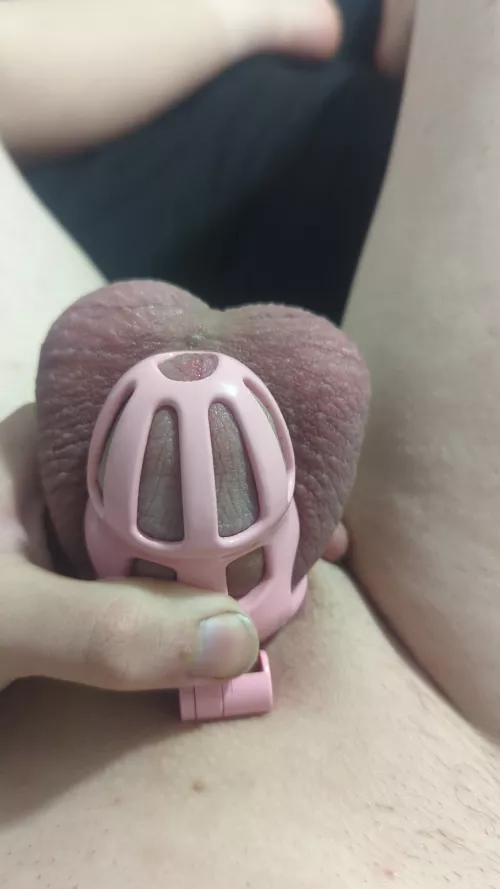 How does the fresh shave look