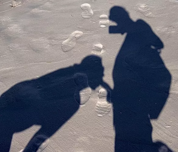 My favorite Shadow puppet