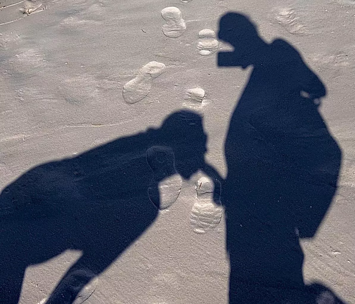 My favorite Shadow puppet