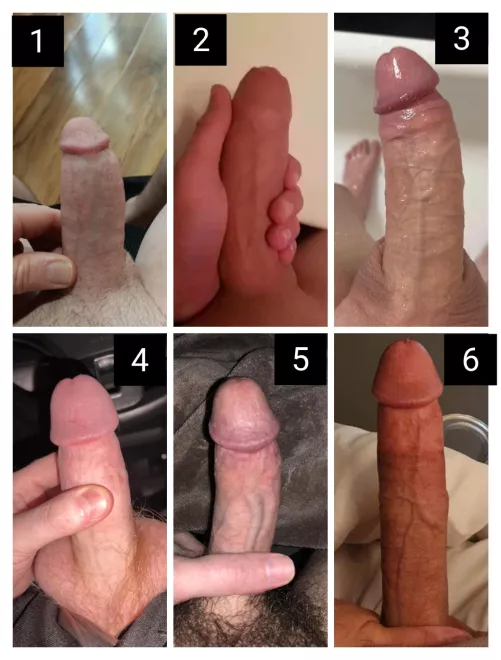 Cock-off R6. Deliver your judgement