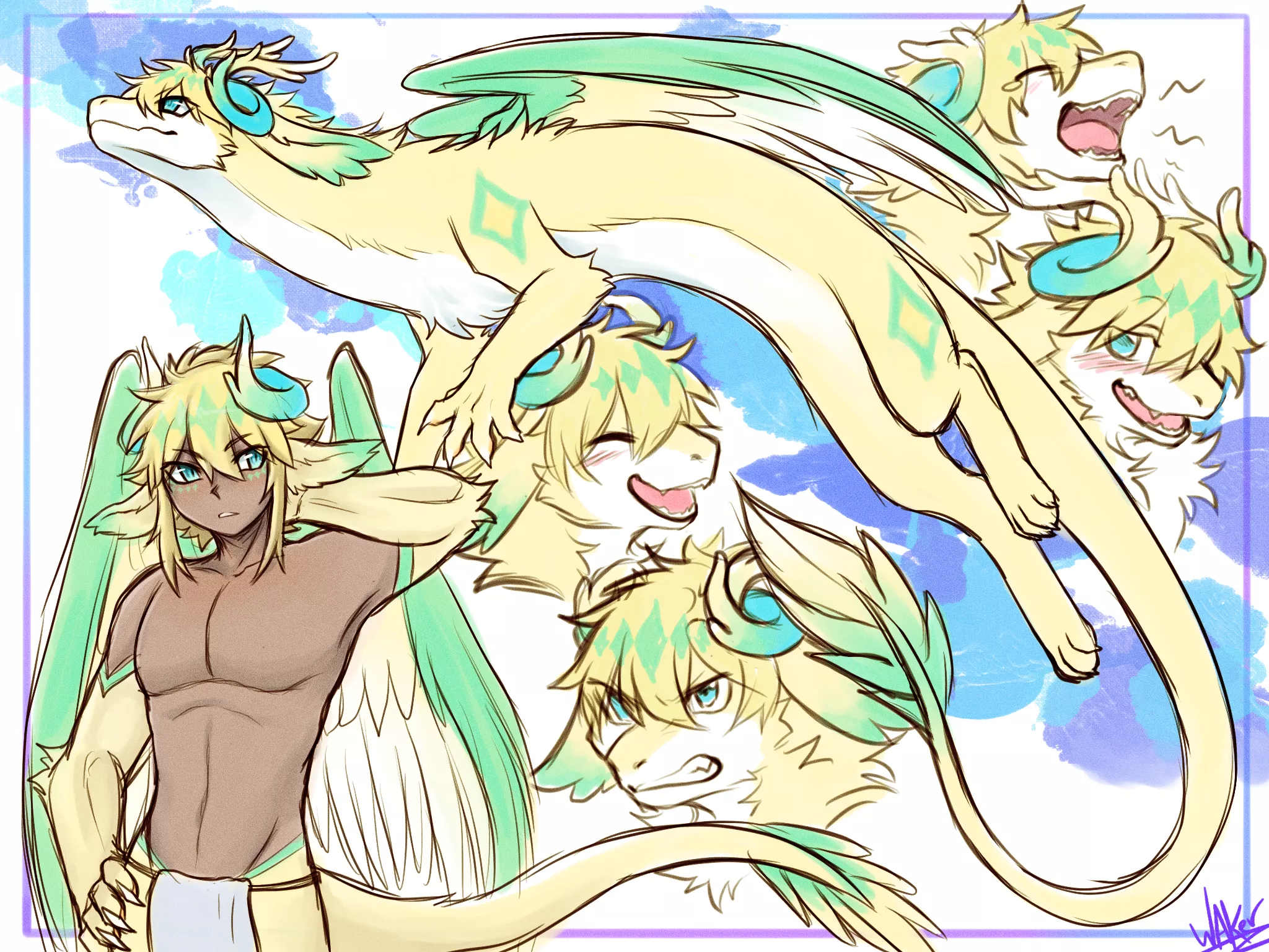 Fluffy Dragon Sketchpage! (Waker608)