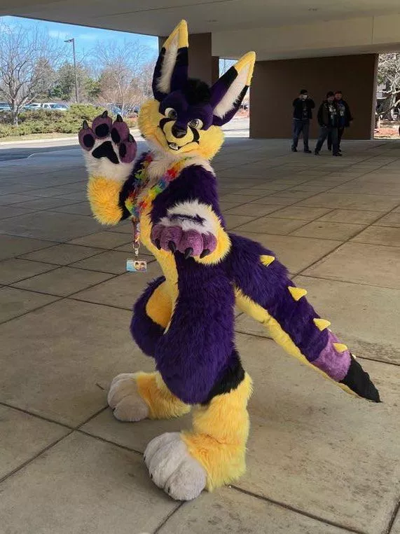 Fursuit for offers