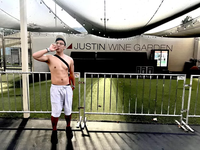 Have I Told You that I Own a Wine Garden?