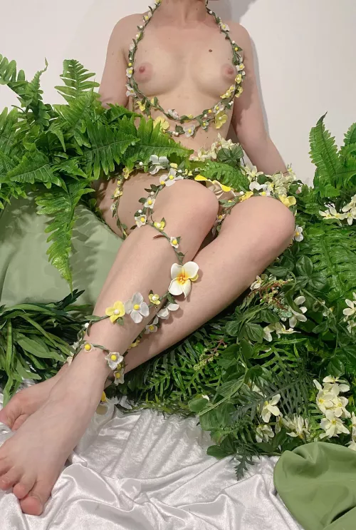 I am a wild kitty who wants to be tamed