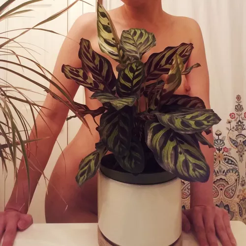 It's there if you look close enough