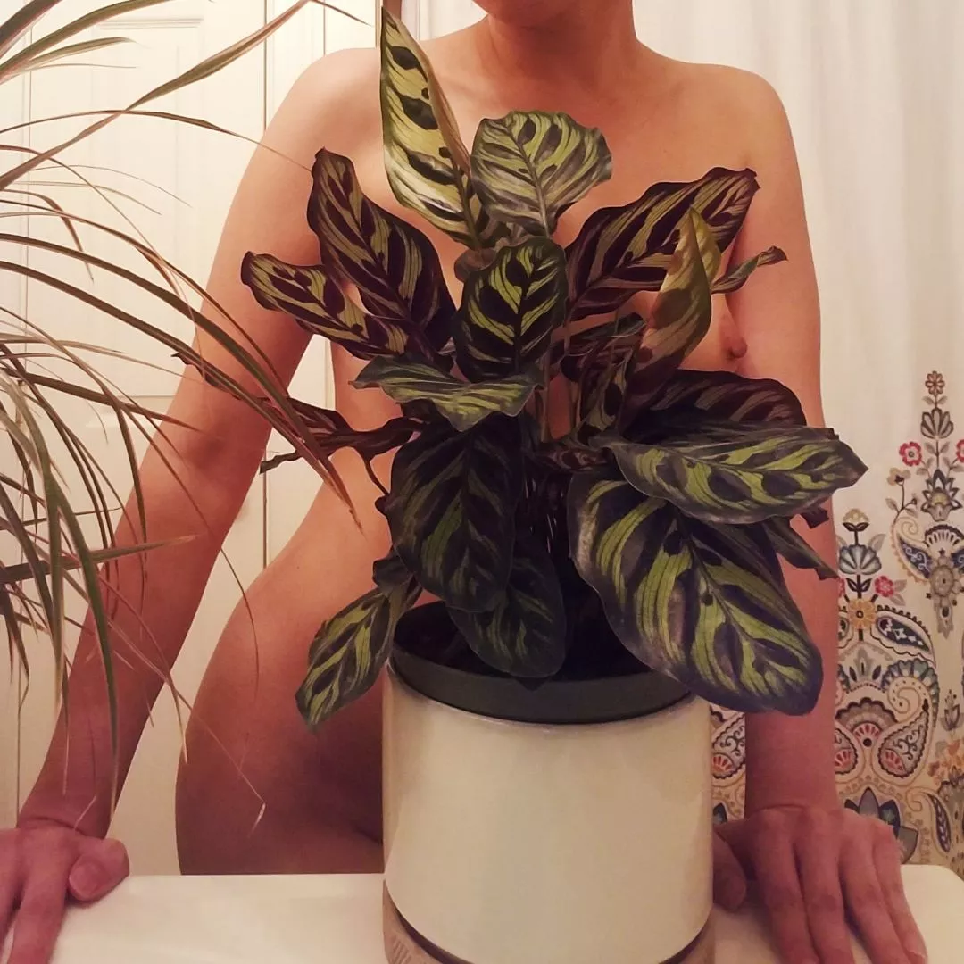 It's there if you look close enough