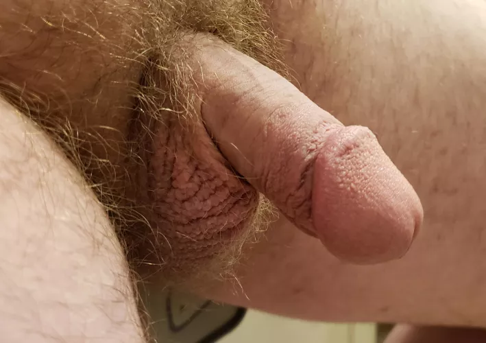 My soft circumcised penis