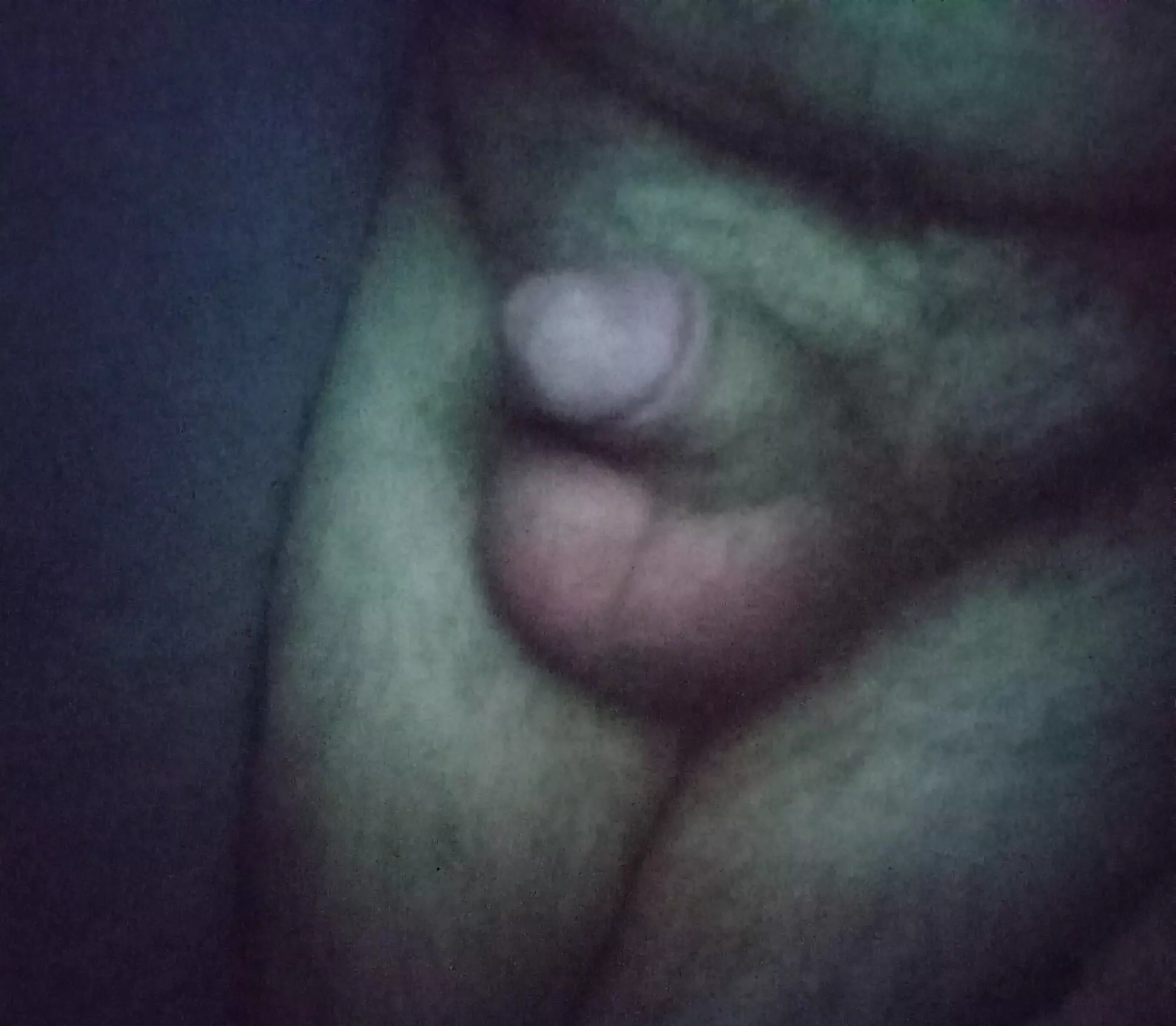 new here, happy Monday