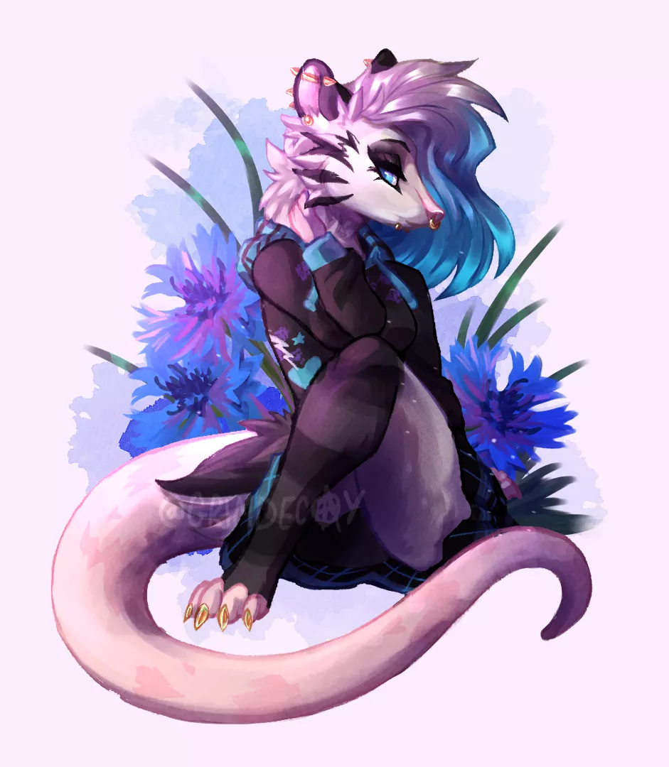 [OC] art I made of my opossum character!