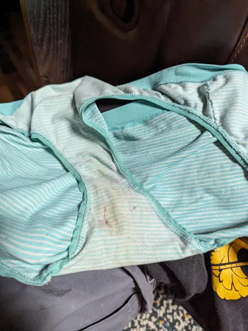 Pair found in the house today