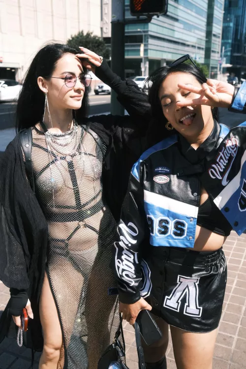 Summer Shows in Sunshine >>