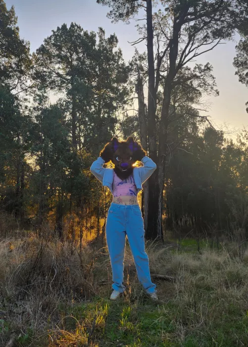 This dog offers to lead you into the woods, do you accept?