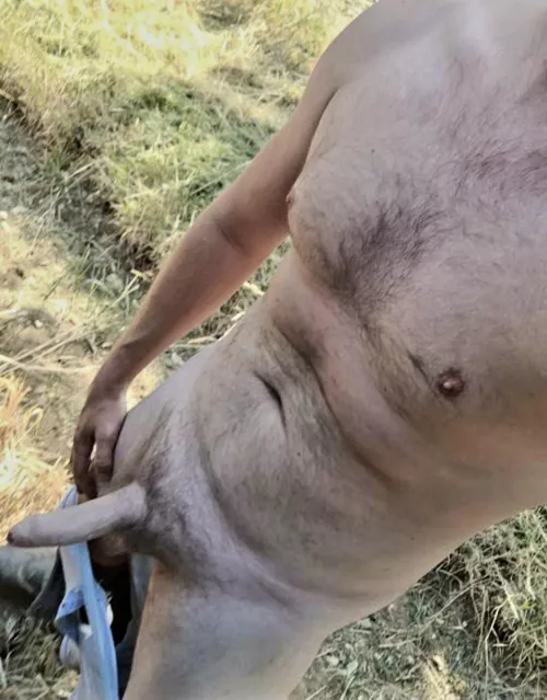 Who likes farm boys 😉?