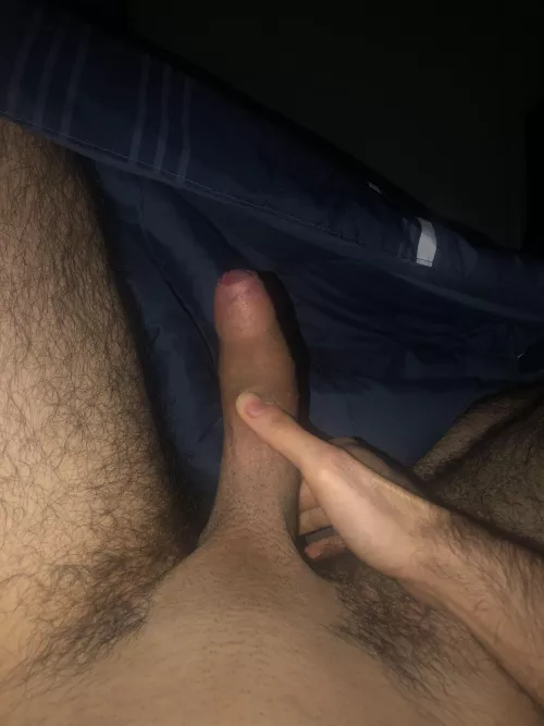 Anyone wanna compare morning woods?