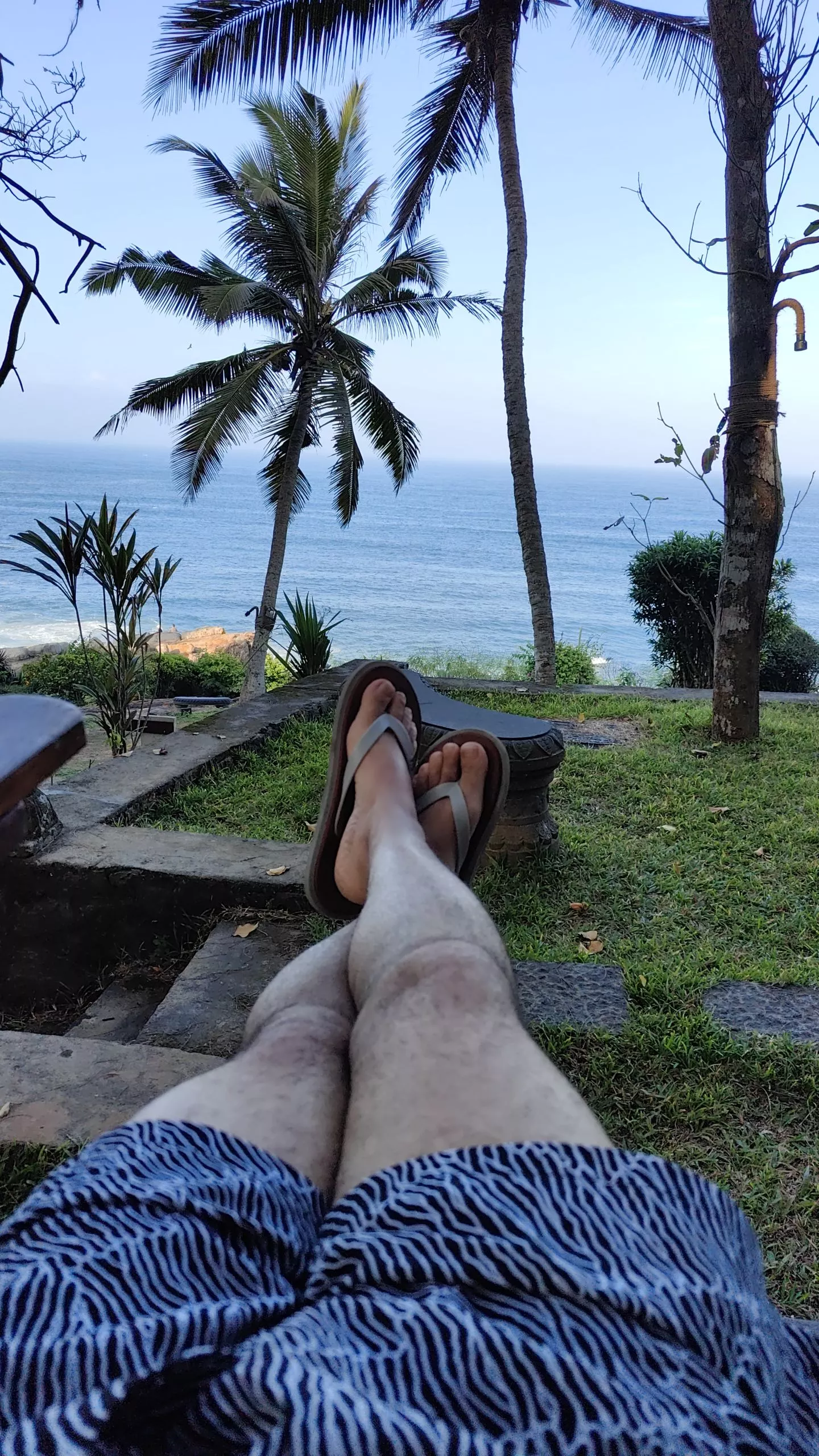 Boxers with a view