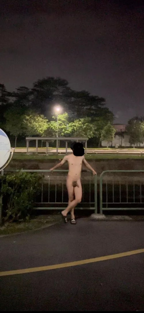 Enjoying some breeze near the road🥵