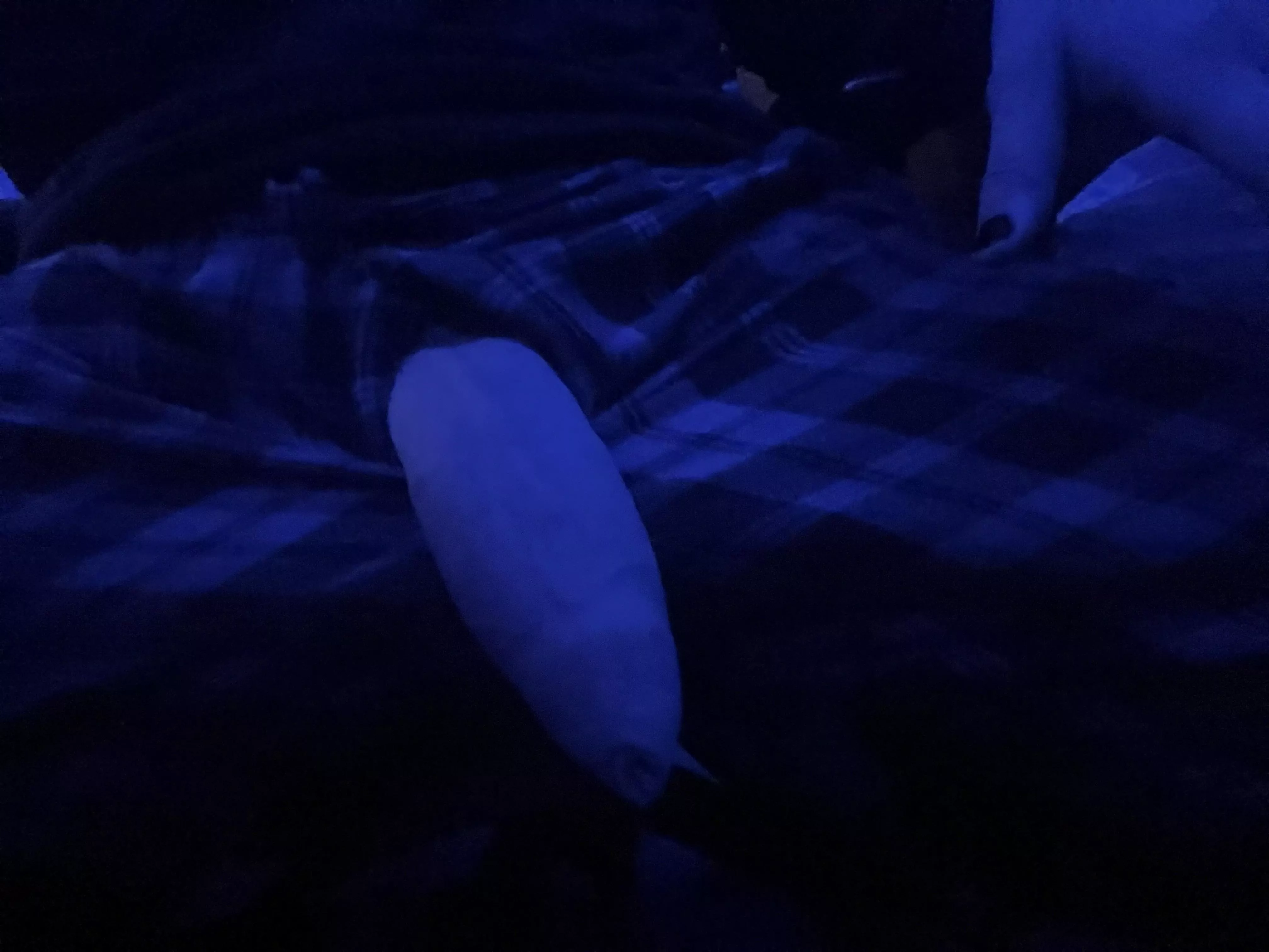 You look over and see me sitting like this. Wyd