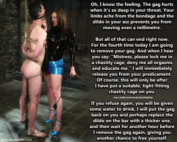 You've said no three times, will you say yes this time?