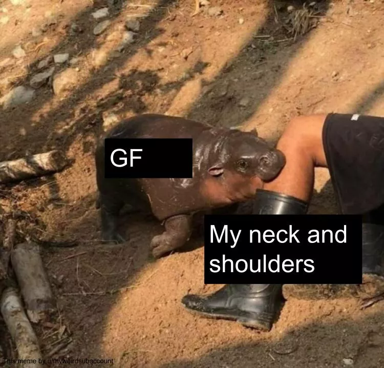 A meme now that we're back