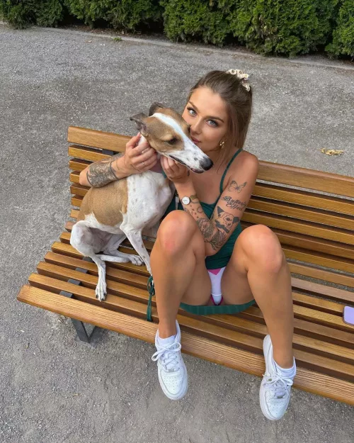 Any dogs lovers here