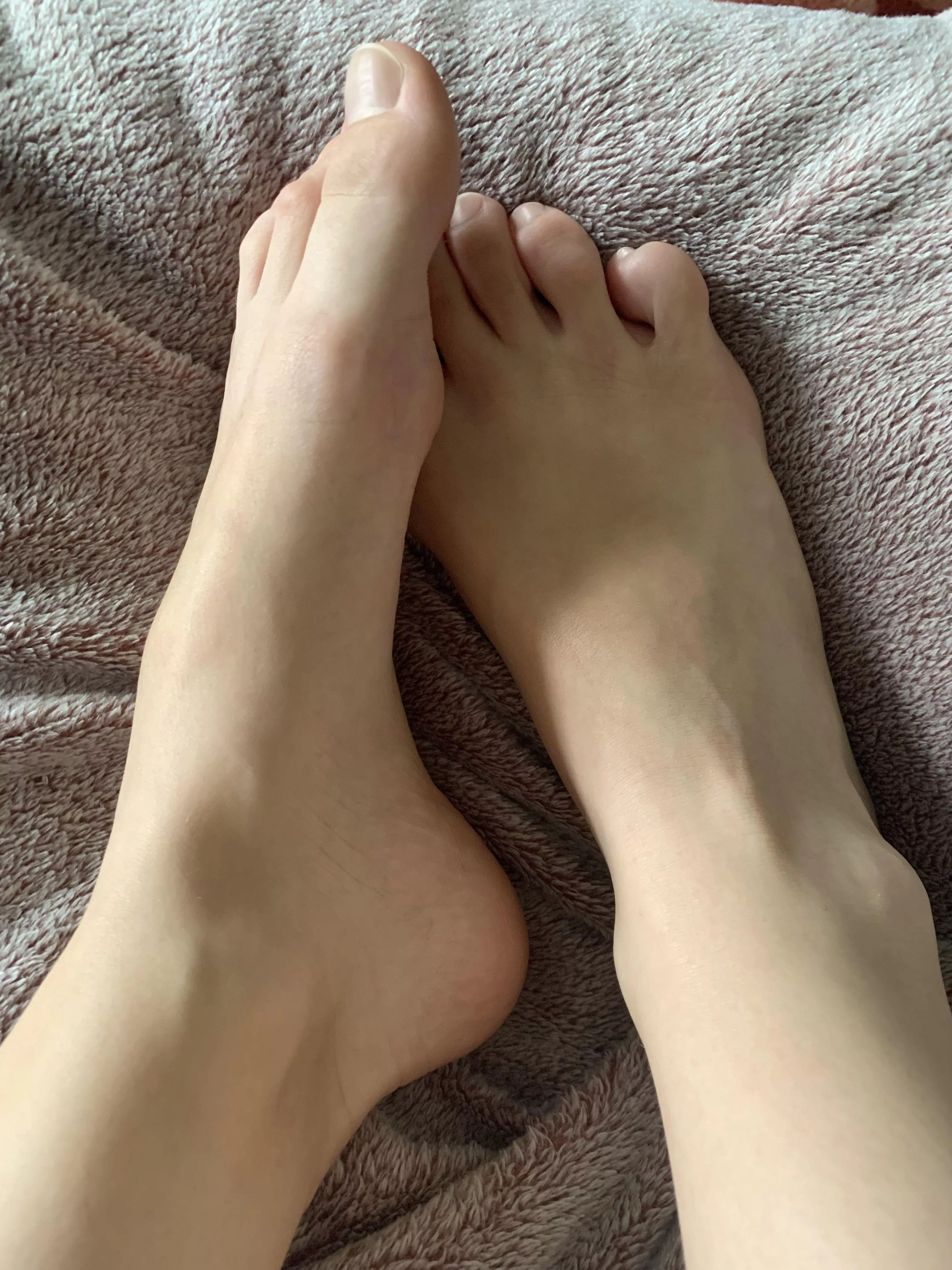 Beware, for these legs are a weapon of irresistible seduction.