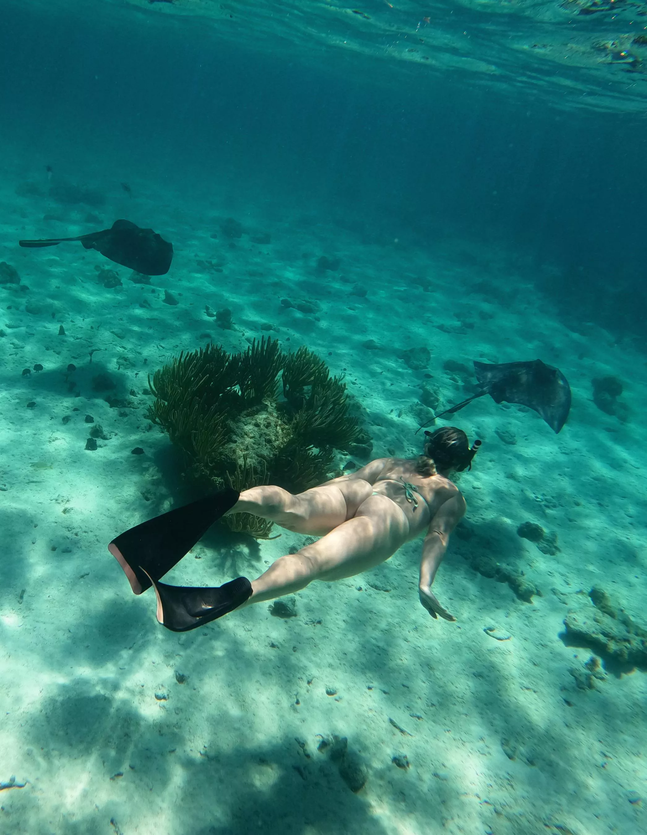 Chasing rays into the blue